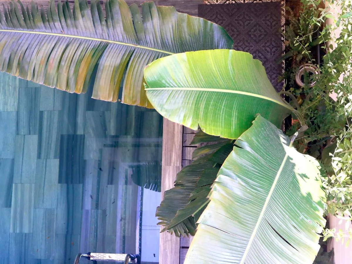 Pho Cho Dem Villa - Near Hoi An Old Town 200M
